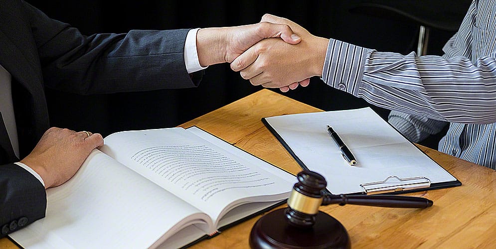 Estate Planning and Litigation Guide